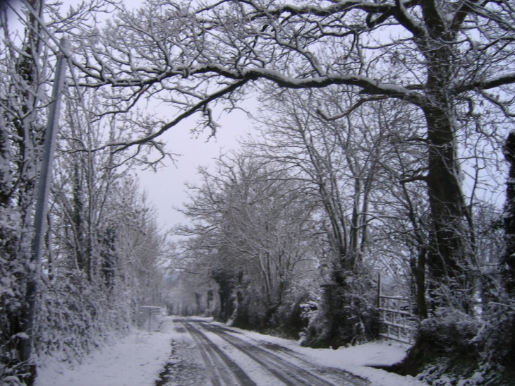 Rue de Chantereine - Le Pin