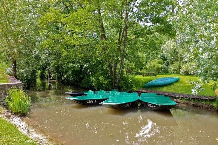 Le port de Sainte Sabine - Le Vanneau-Irleau