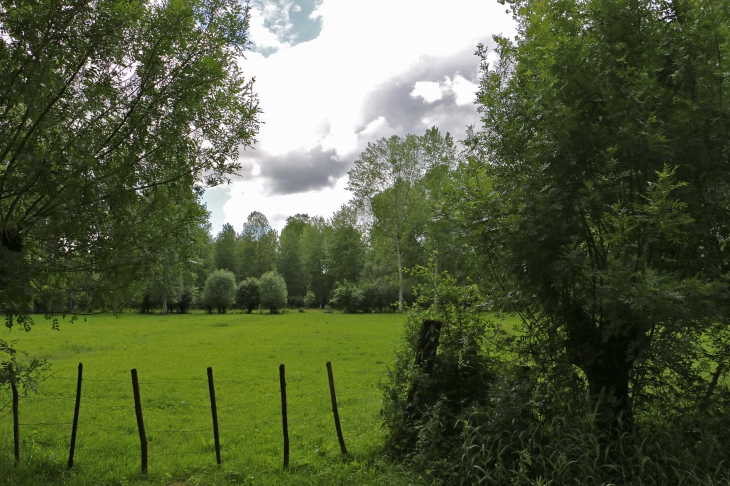 Les coteaux de Sainte Sabine. - Le Vanneau-Irleau