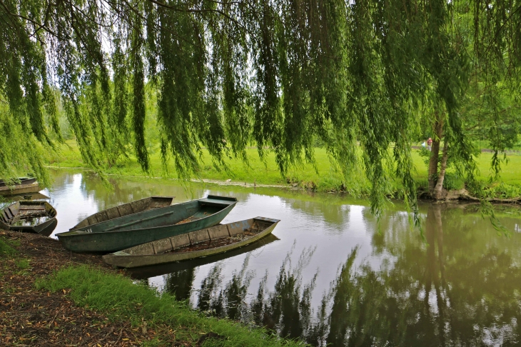 Le grand port du Vanneau. - Le Vanneau-Irleau