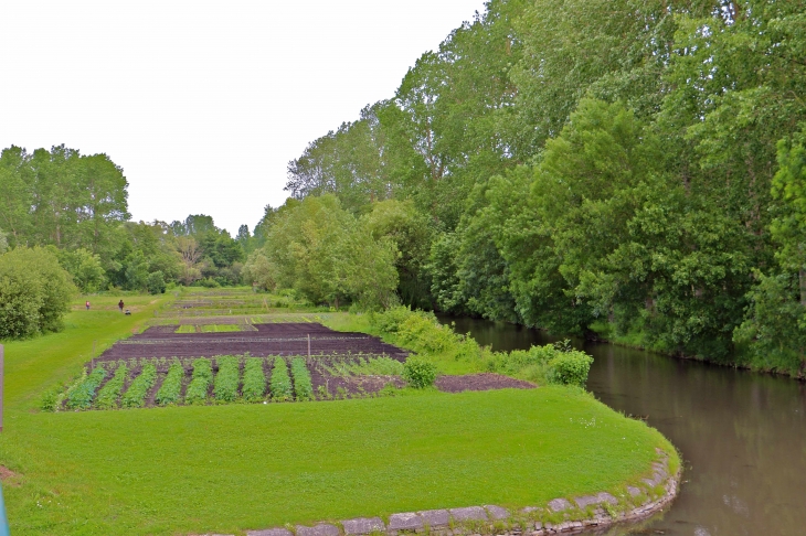 Beau jardin potager au port du Vanneau. - Le Vanneau-Irleau