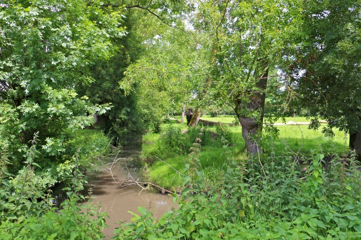 Le marais mouillé à Irleau - Le Vanneau-Irleau