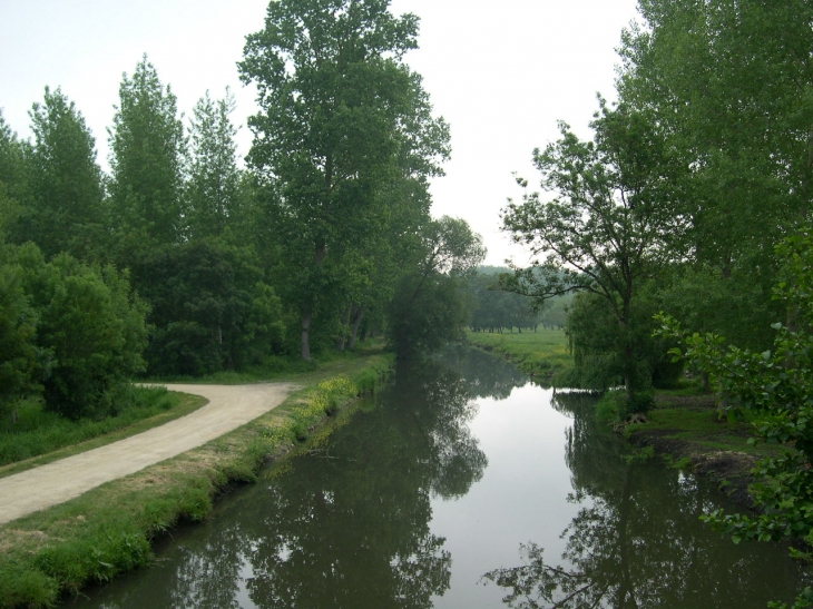 Dans le marais - Le Vanneau-Irleau