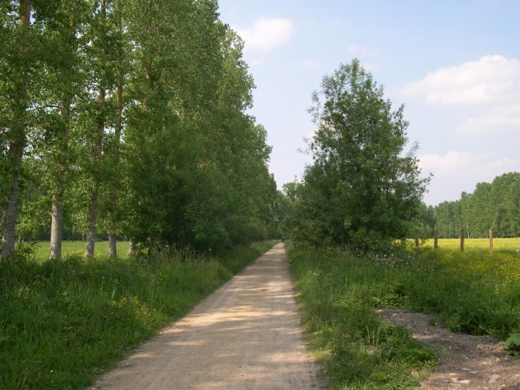 Dans le marais poitevin - Le Vanneau-Irleau