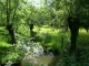 le marais poitevin