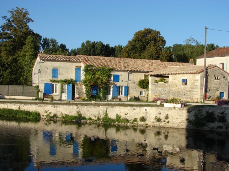 Le Marais Mouillé - Magné