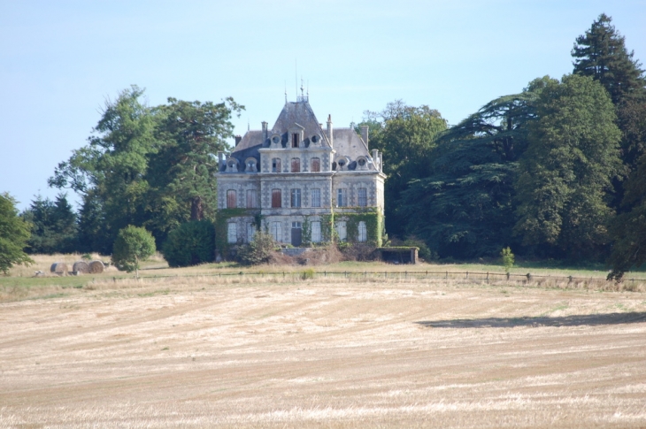 CHATEAU DE BOISSOUDAN - Pamplie