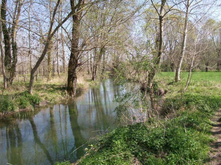 Calme et sérénité - Prissé-la-Charrière