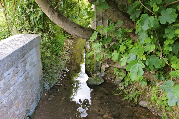 Le lavoir  - Saint-Georges-de-Rex