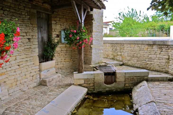 Le lavoir  - Saint-Georges-de-Rex