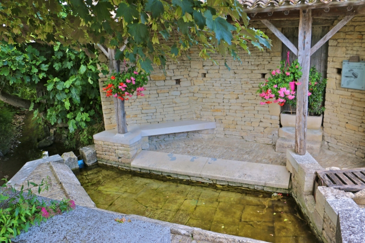 Le lavoir  - Saint-Georges-de-Rex