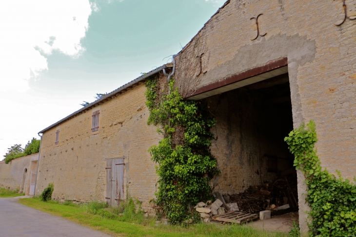 Rue du pigeonnier. - Saint-Georges-de-Rex