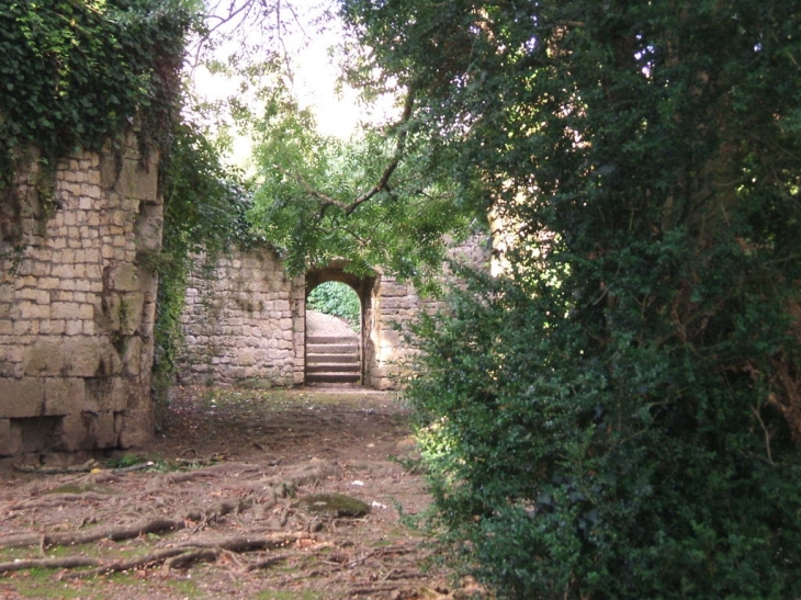 Bord de SEVRE restauré - Saint-Maixent-l'École