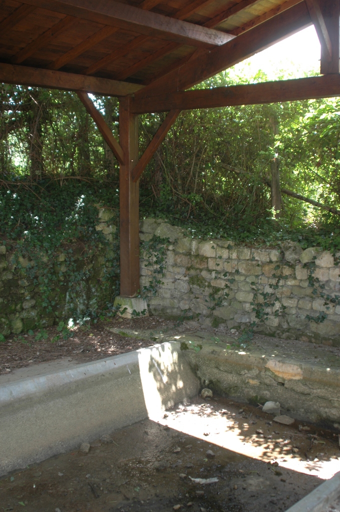 Lavoir de Bonne fontaine - Saint-Martin-de-Saint-Maixent