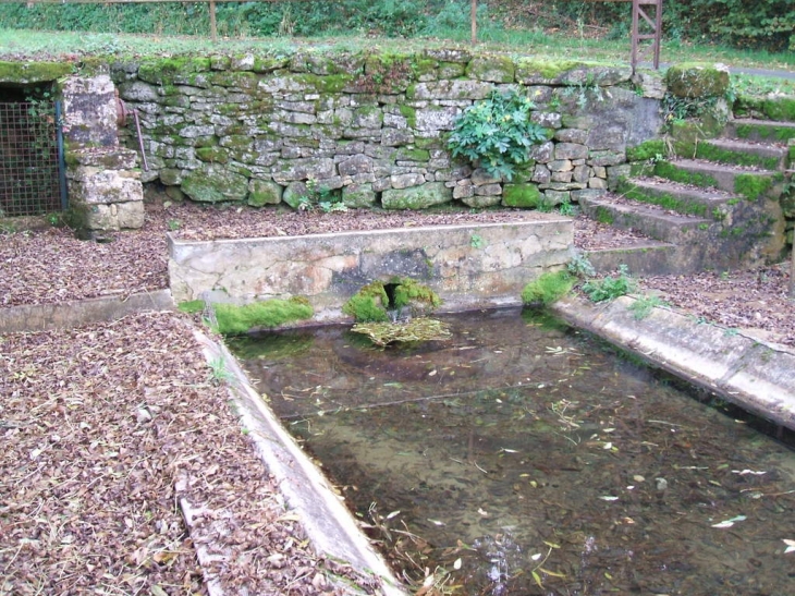 Lavoir de Puyblain - Saivres