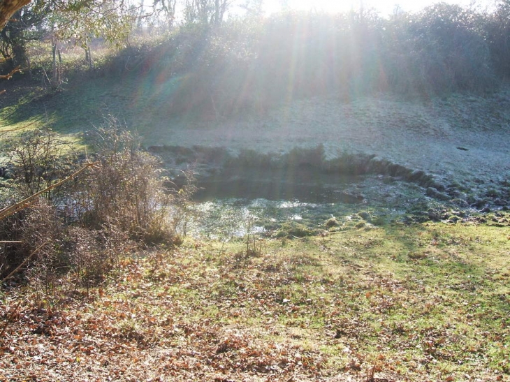 Naissance de la SEVRE NIORTAISE à FONBEDOIRE - Sepvret