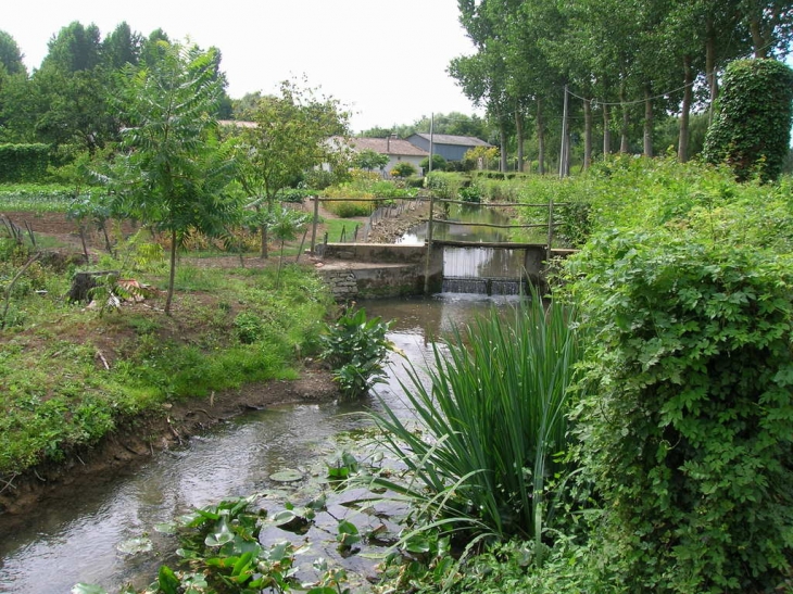 Moulin Neuf - Souvigné