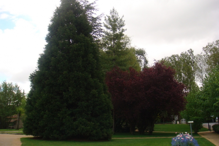 Le parc, au centre ville - Vouillé