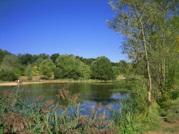 Lac de la forêt - Châtellerault