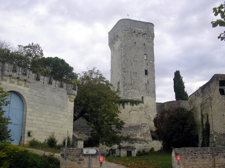 Donjon - Curçay-sur-Dive