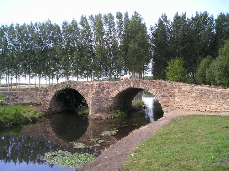 Pont de la Reine Blanche - Curçay-sur-Dive