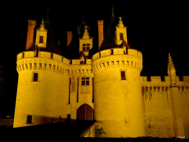 Dissay. Le château