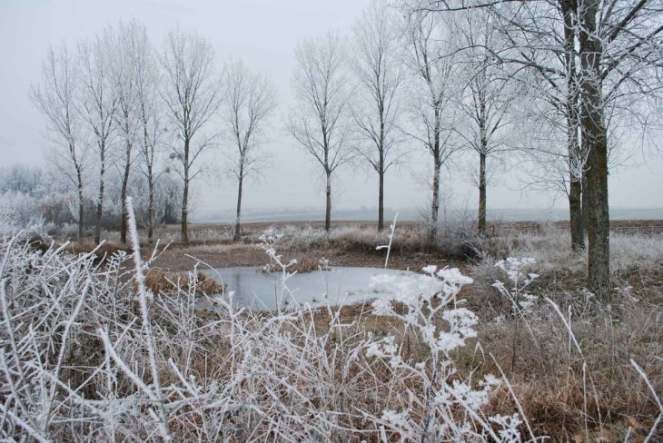 La mare au froid - Lauthiers