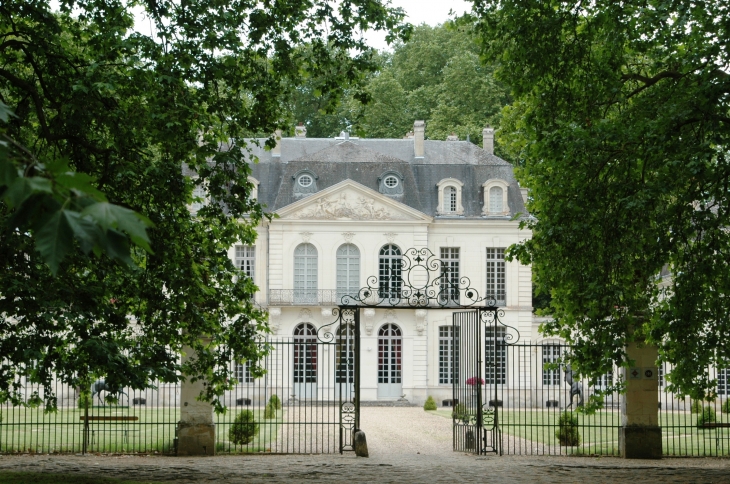 Cateau des Ormes vue de l'allée - Les Ormes