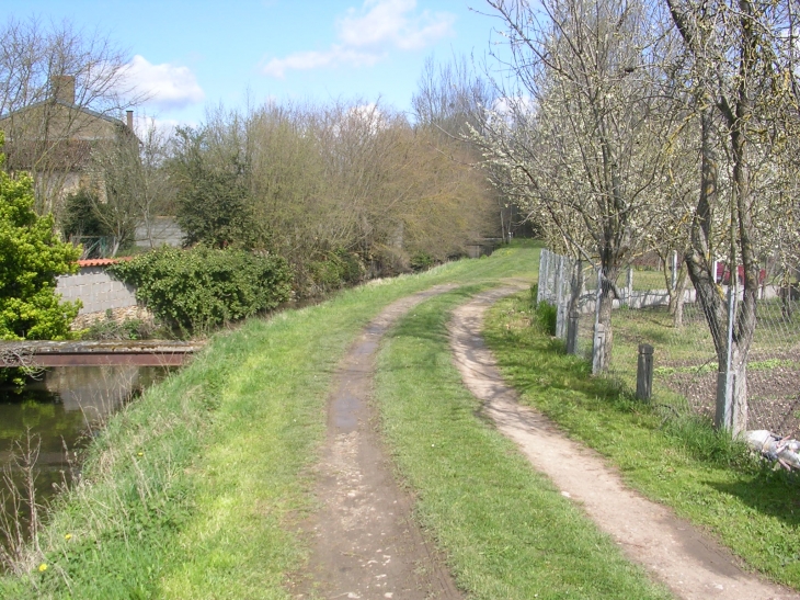 Promenade au bord de l'un des bras de rivière de la DIVE qui parcourt Moncontour à trois endroits différents au coeur du village. Un parcours initiatique en bordure de l'eau est dédié au lavoir.