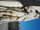 Photo suivante de Saint-Sauvant Monument aux Ports pour la France détail oeuvre su Sculpteur Peltier de Poitiers.