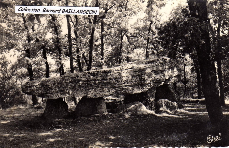 Dolmen de la Pierre-Pèse ( coté nord) - Saint-Saviol