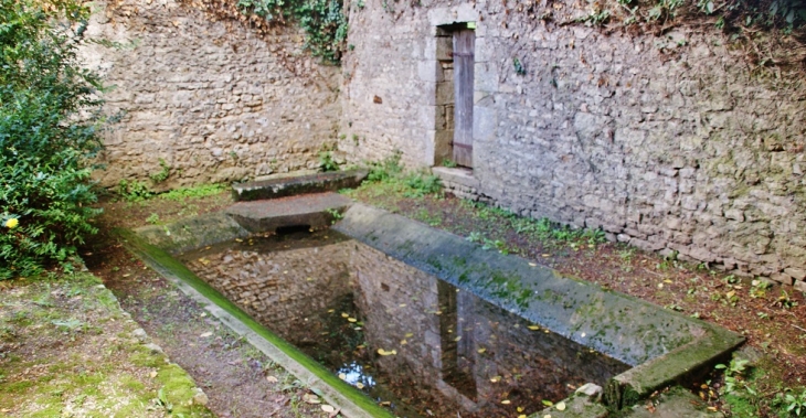 Le Lavoir - Savigné