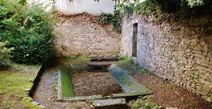 Le Lavoir - Savigné