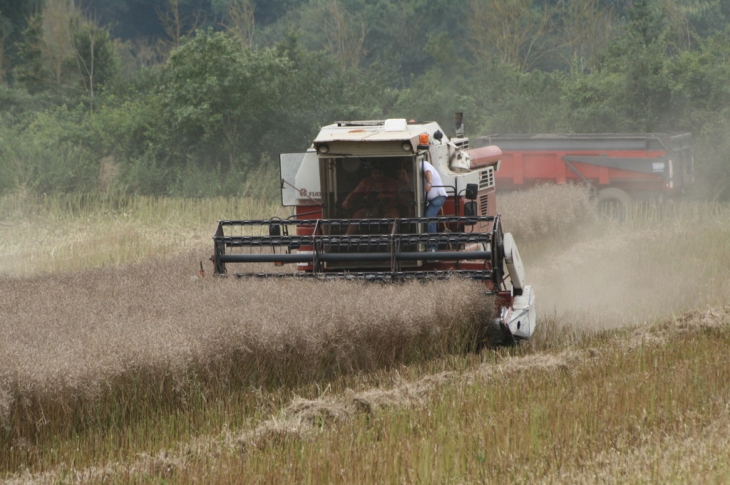 La moisson - Vicq-sur-Gartempe