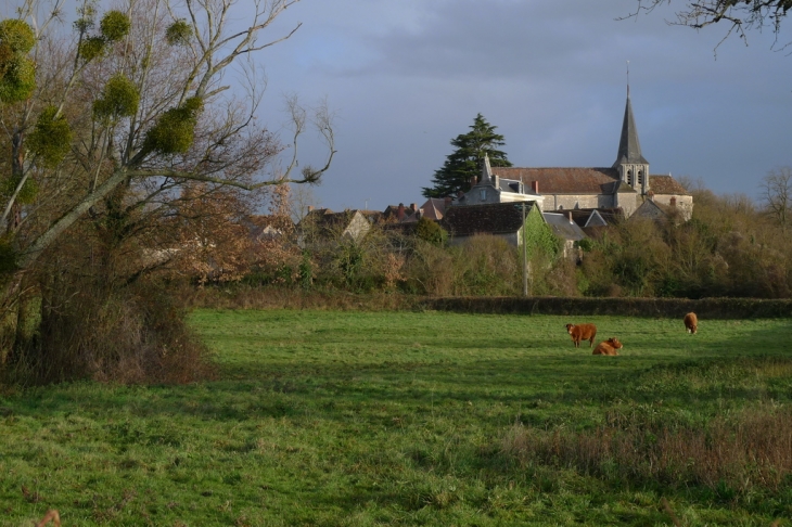 Eglise de Vicq sur Gartempe - Vicq-sur-Gartempe