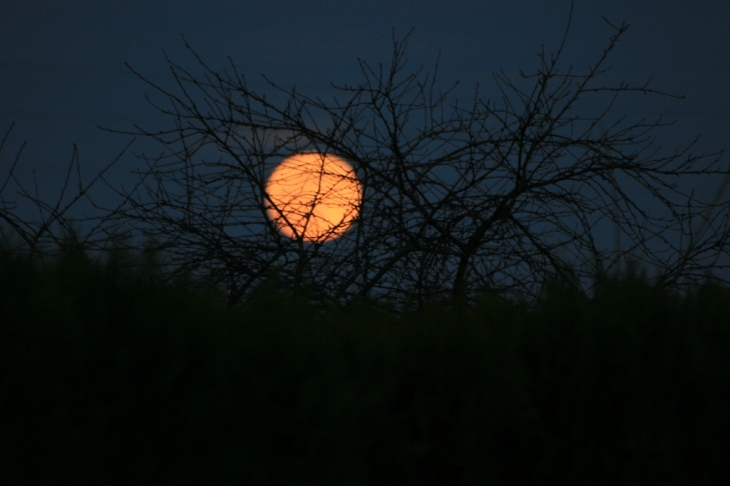 Le coucher de soleil sur Vicq - Vicq-sur-Gartempe