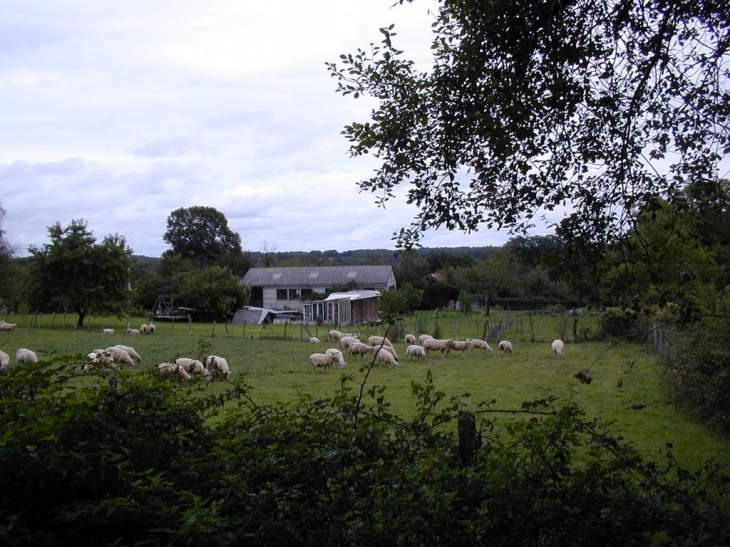 Nos prés - Vicq-sur-Gartempe