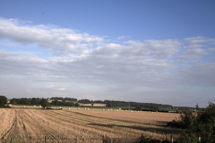 Nos champs - Vicq-sur-Gartempe