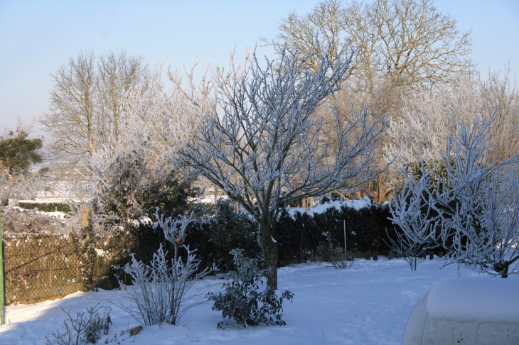 Jardin à vicq sous la neige - Vicq-sur-Gartempe