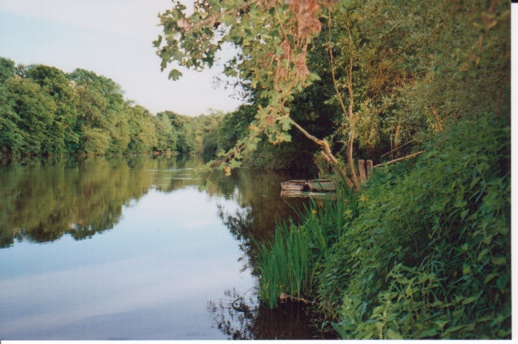 La Gartempe  Dominique DURAND - Vicq-sur-Gartempe