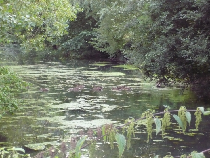 Parc de la gorande - Vouillé