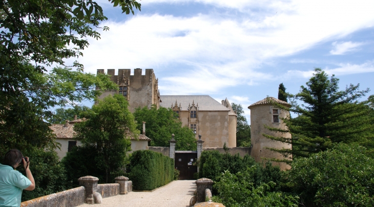   Château d'Allemagne en Provence 13 Em Siècle - Allemagne-en-Provence