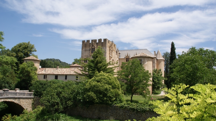   Château d'Allemagne en Provence 13 Em Siècle - Allemagne-en-Provence