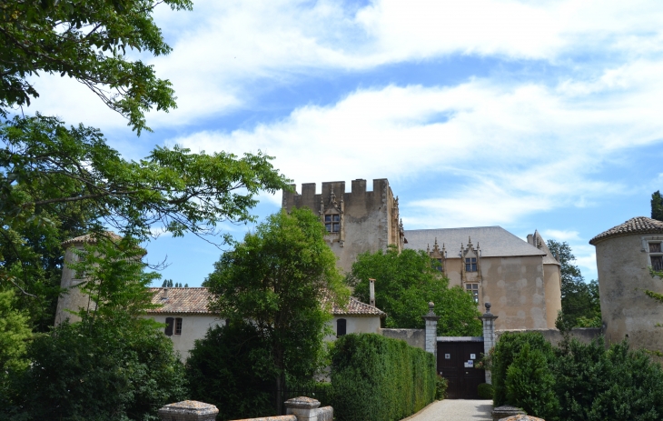   Château d'Allemagne en Provence 13 Em Siècle - Allemagne-en-Provence