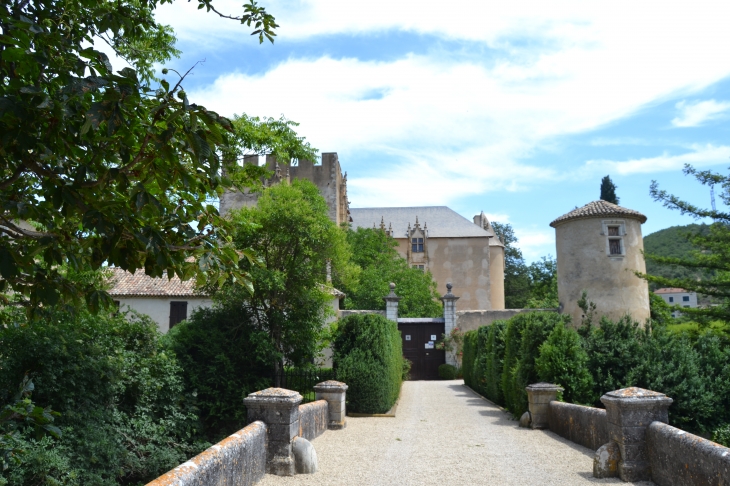   Château d'Allemagne en Provence 13 Em Siècle - Allemagne-en-Provence