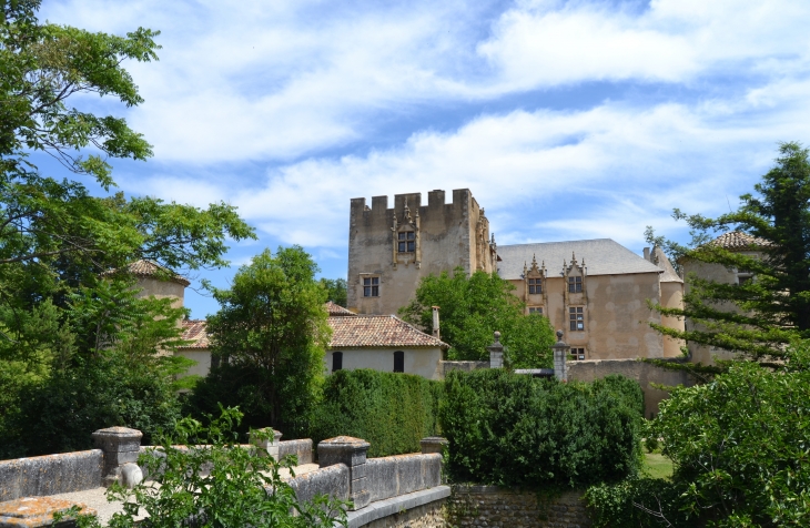   Château d'Allemagne en Provence 13 Em Siècle - Allemagne-en-Provence