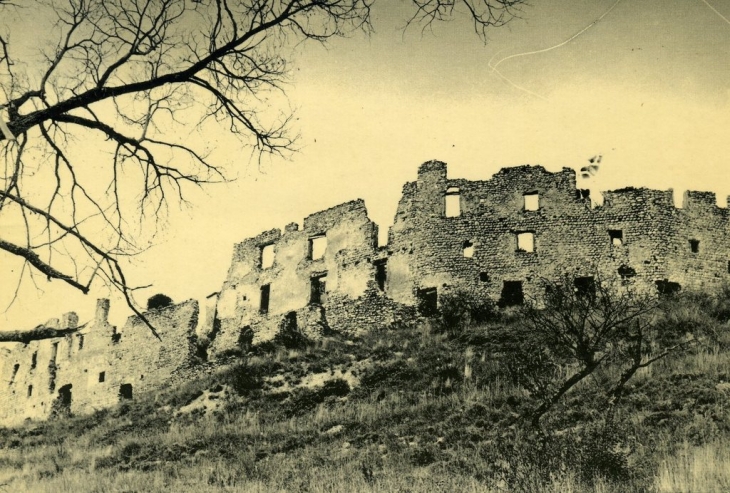 Ruines du Vieux Bras - Bras-d'Asse