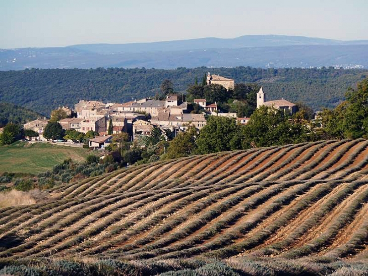 Le village vu des champs - Entrevennes