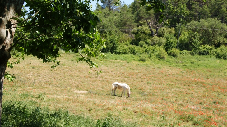  - Esparron-de-Verdon