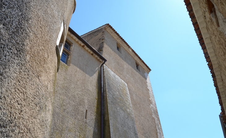 &Château D'Esparron 13 Em Siècle - Esparron-de-Verdon